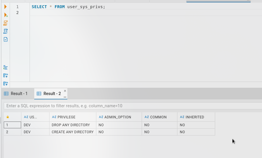 DEV Privileges